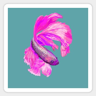 Pink Siamese fighting fish Magnet